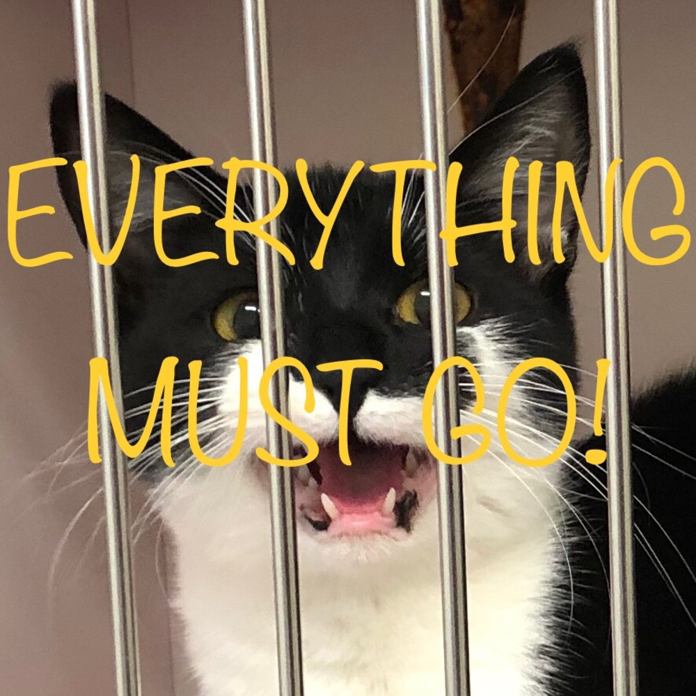 Everything Must Go!